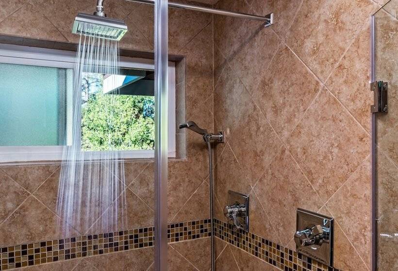 带大床的豪华间, Sheridan House Inn Adult Only Accommodation