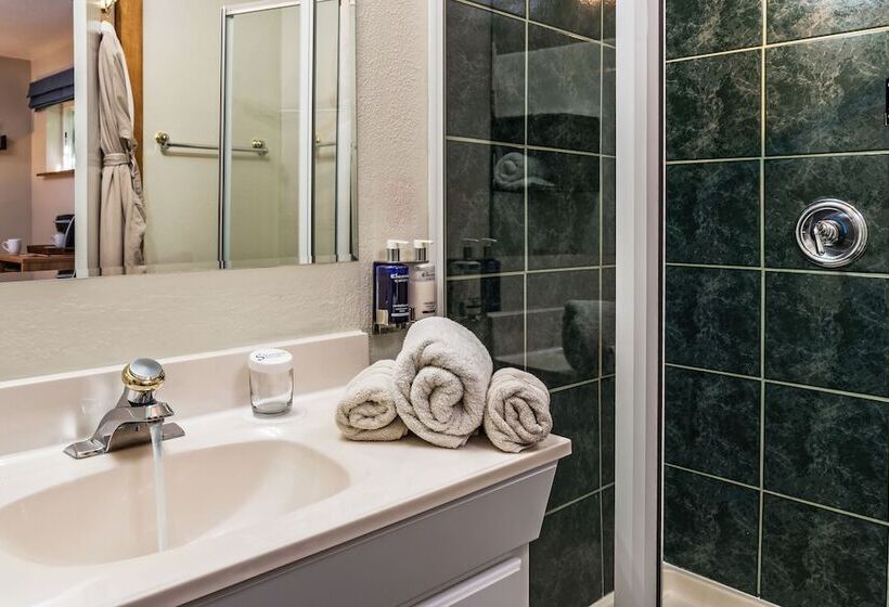 带大床的高级房间, Sheridan House Inn Adult Only Accommodation