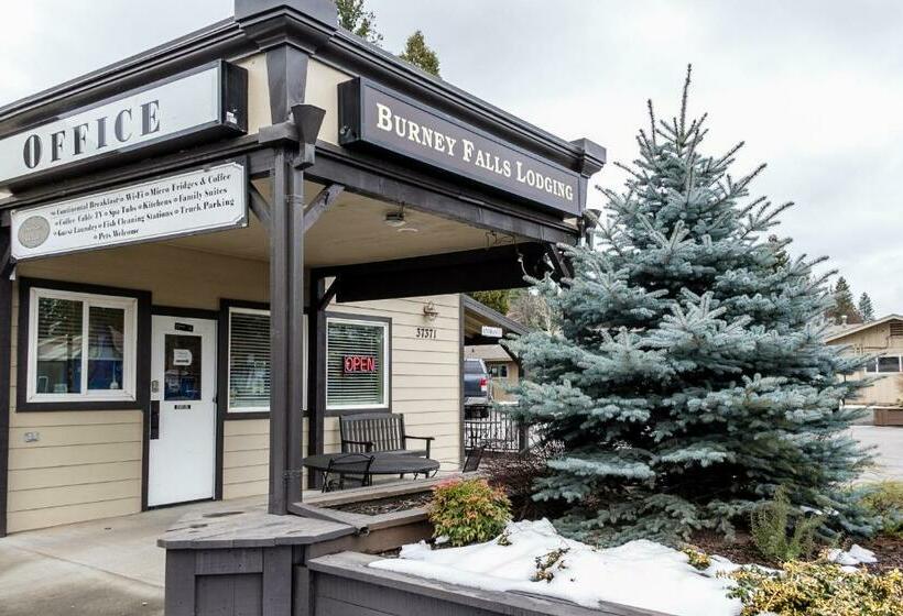 스탠다드 룸, Charm Motel & Suites