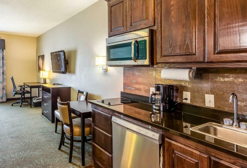 חדר סטנדרט עם מטבח, Baymont By Wyndham Andrews Tx