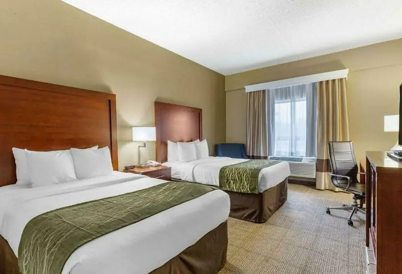 Standard-huone 2 Parivuodetta, Comfort Inn Aikens Center
