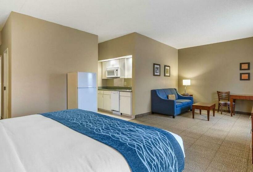 带大床的标准间, Comfort Inn Aikens Center
