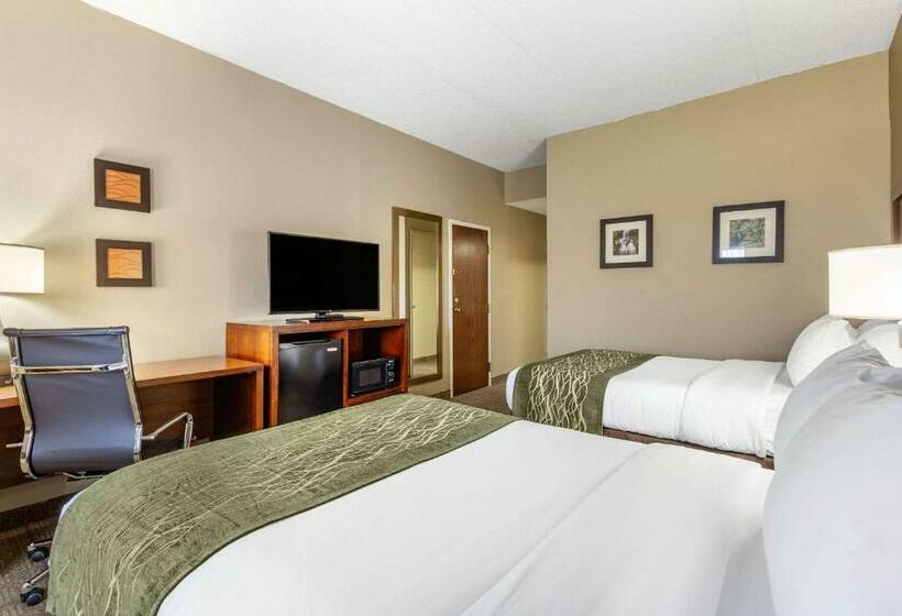 带2个双人床的标准工作室, Comfort Inn Aikens Center