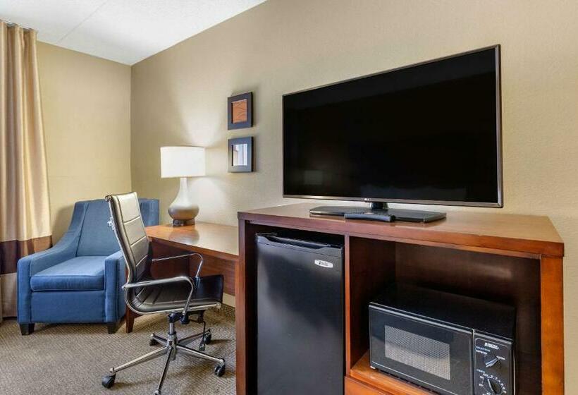 带大床的标准间, Comfort Inn Aikens Center