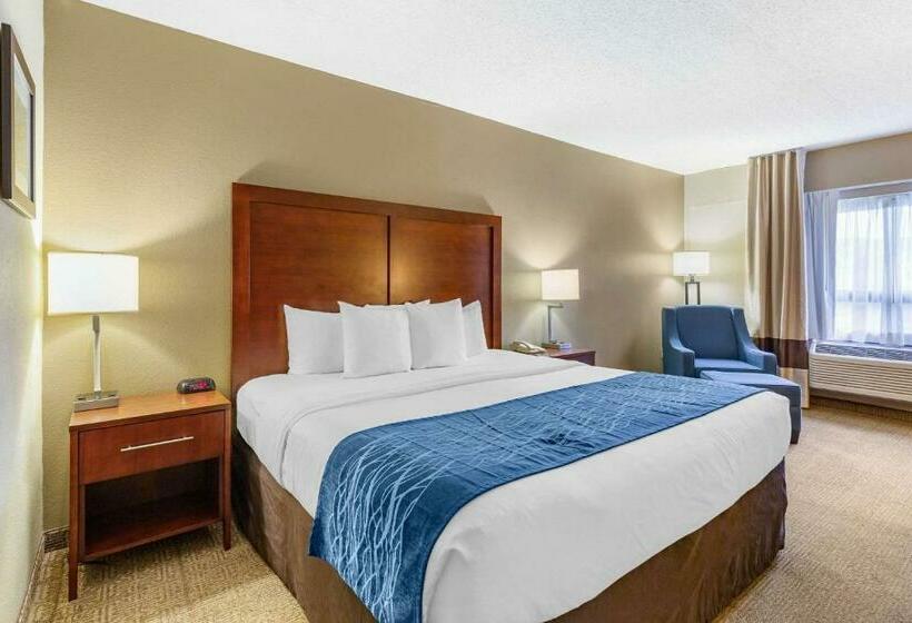 带大床的标准间, Comfort Inn Aikens Center