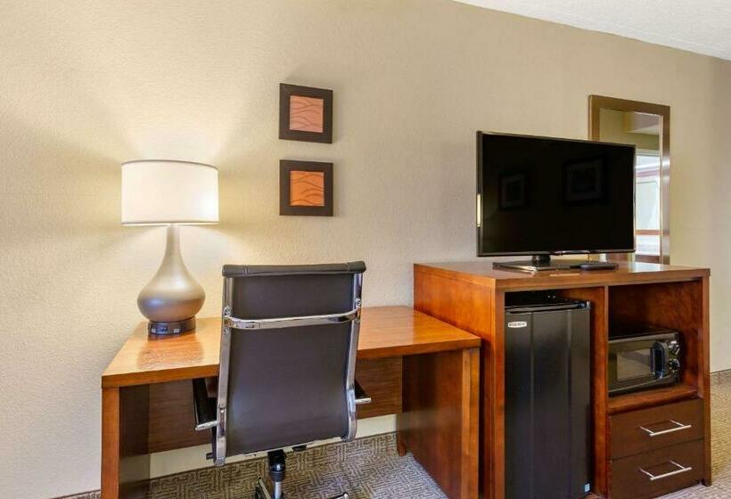 غرفة قياسية سرير كينج, Comfort Inn Aikens Center