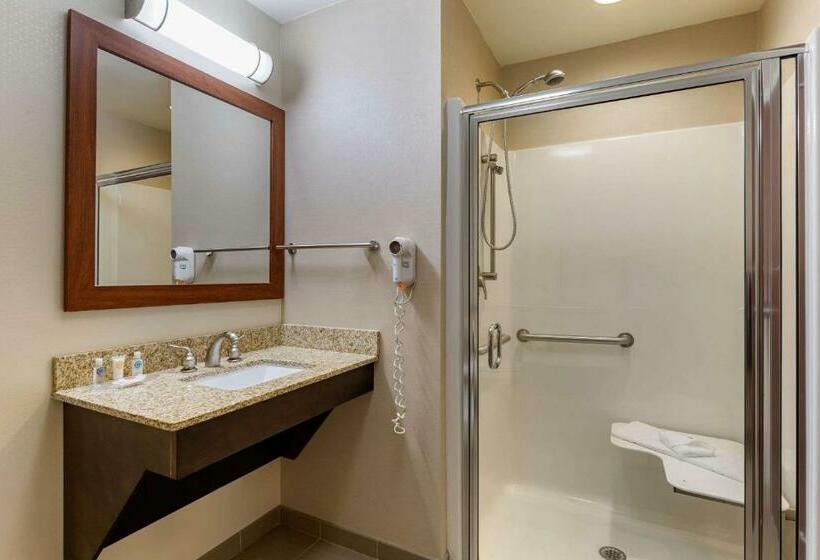 适合残疾人士使用的带超级大床的标准间, Comfort Inn Aikens Center