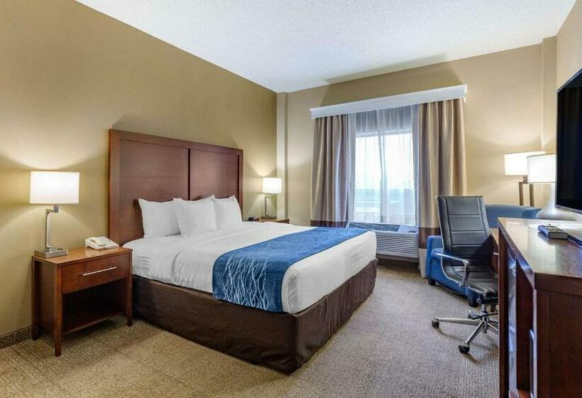 غرفة قياسية سرير كينج لذوى الإحتياجات الخاصة, Comfort Inn Aikens Center