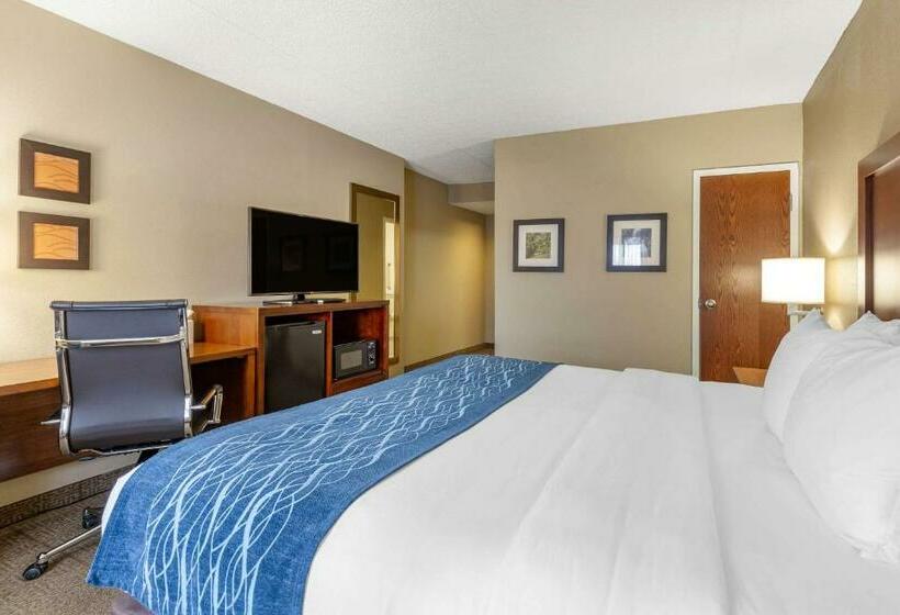 غرفة قياسية سرير كينج لذوى الإحتياجات الخاصة, Comfort Inn Aikens Center