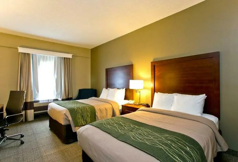 Sviitti, Comfort Inn Aikens Center