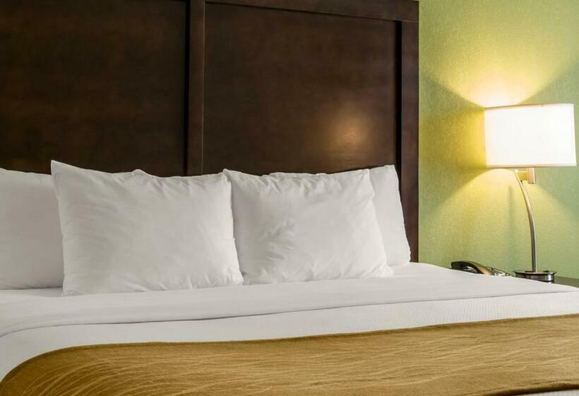 キングサイズベッドのスタンダードルーム, Comfort Inn Sylva   Cullowhee