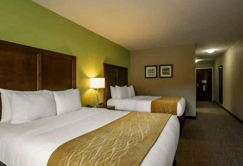 Standard-huone, Comfort Inn Sylva Cullowhee