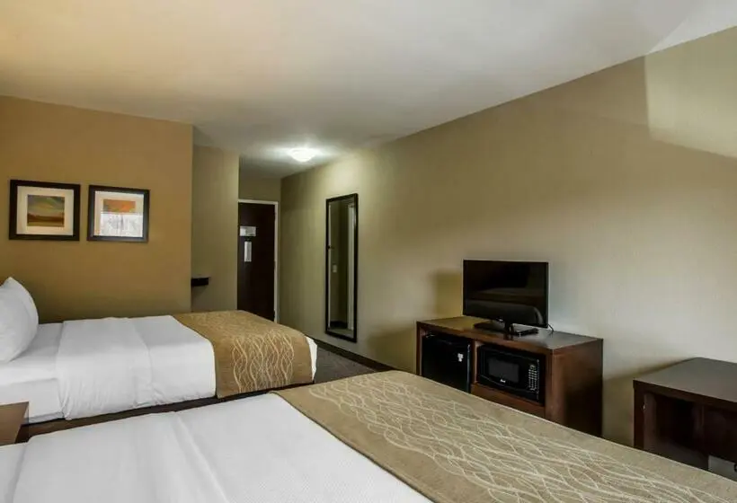 Standard-huone, Comfort Inn Sylva Cullowhee