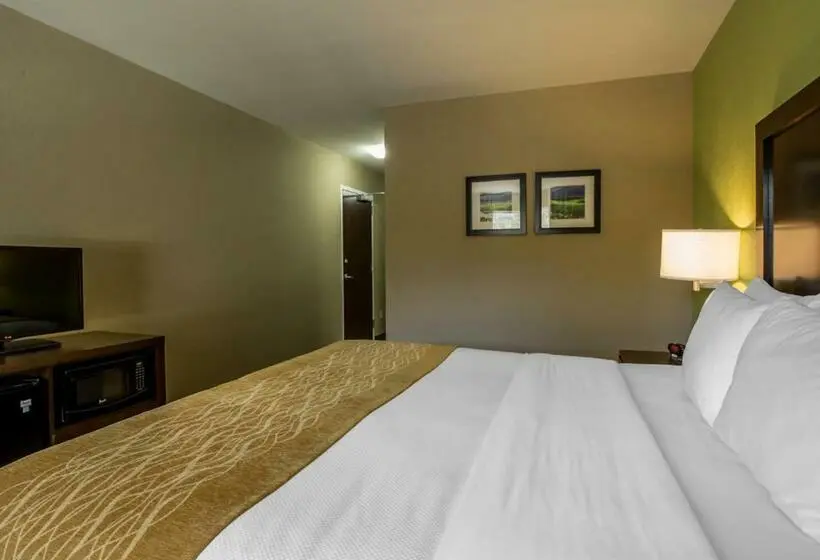 Standard-huone King-vuode, Comfort Inn Sylva Cullowhee