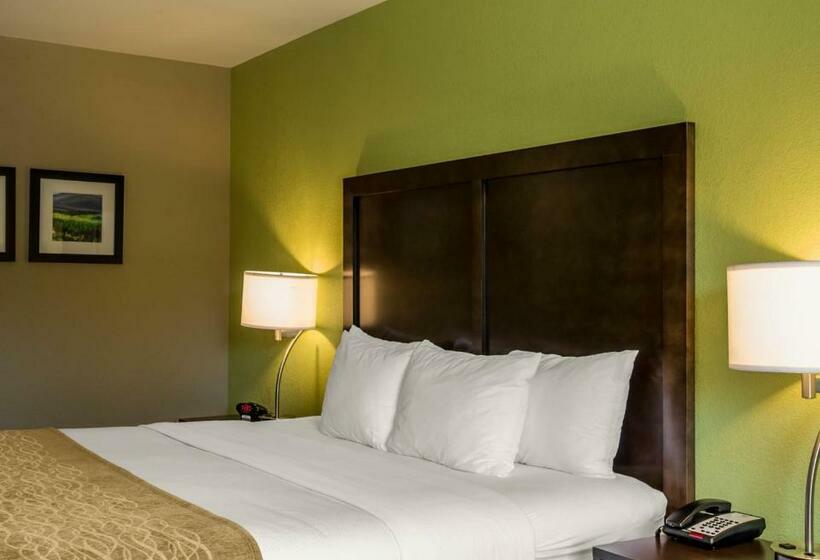 스탠다드 룸 킹사이즈 침대, Comfort Inn Sylva   Cullowhee