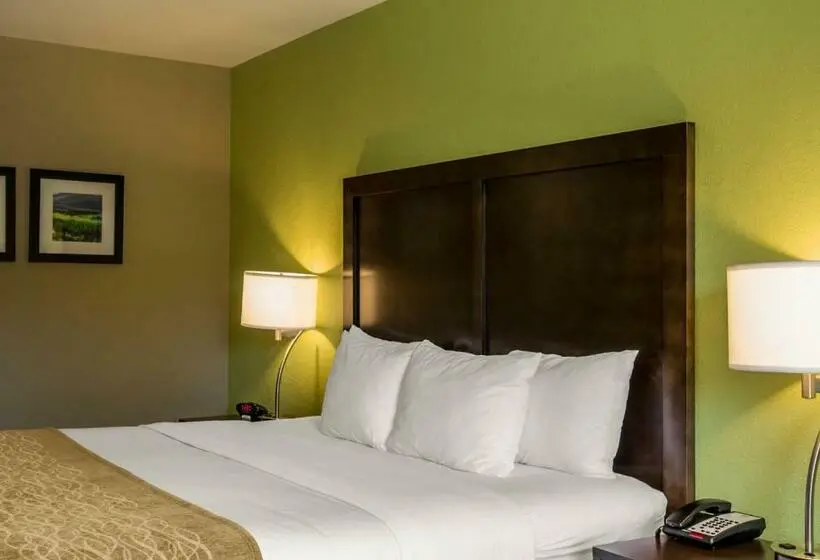 Standard-huone King-vuode, Comfort Inn Sylva Cullowhee