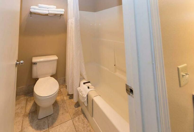 חדר דלוקס, Mill Village Motel