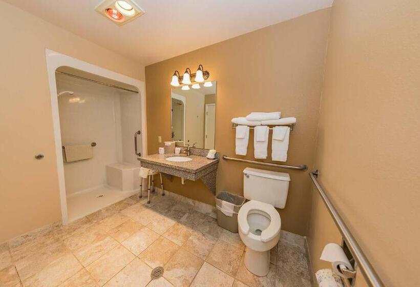 غرفة قياسية لذوى الاحتياجات الخاصة, Mill Village Motel