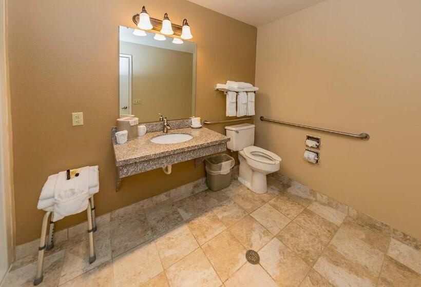 غرفة قياسية لذوى الاحتياجات الخاصة, Mill Village Motel