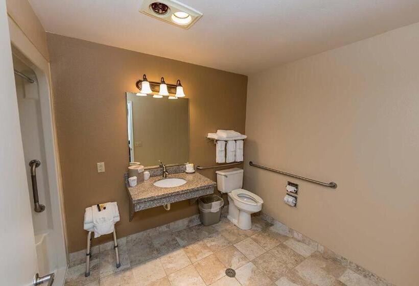 غرفة قياسية لذوى الاحتياجات الخاصة, Mill Village Motel