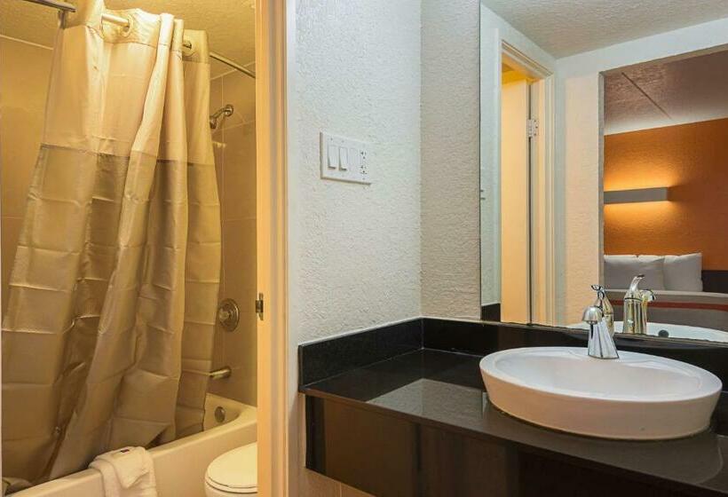 스탠다드 룸 킹사이즈 침대, Motel 6 Garland, Tx   Northeast Dallas