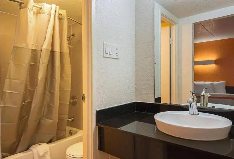 スタンダードルーム, Motel 6 Garland, Tx   Northeast Dallas