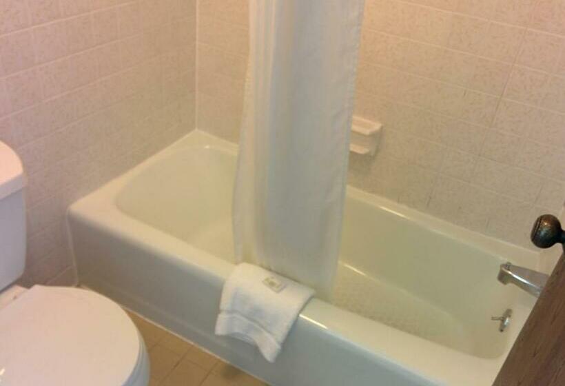 Стандартный Номер Кровать Кинг, Economy Inn Toledo Perrysburg