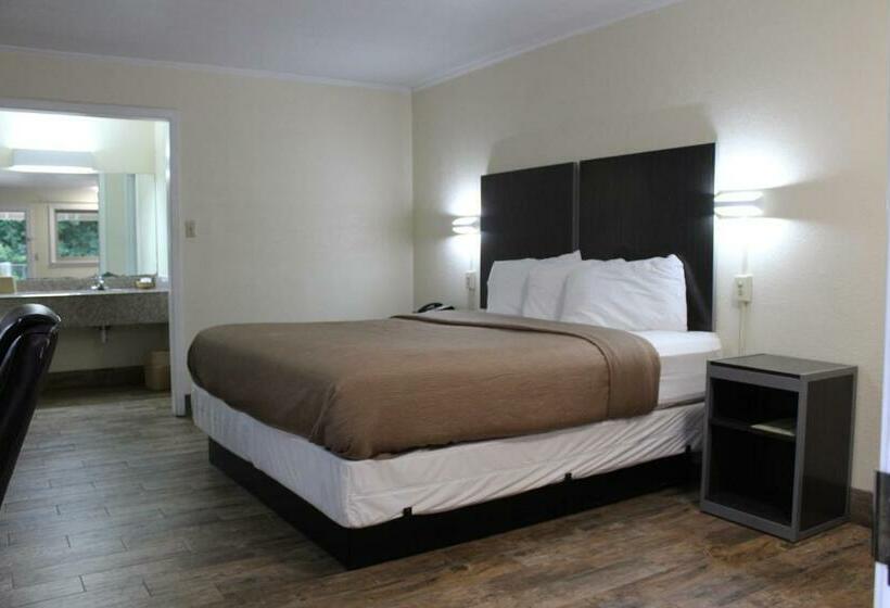 带大床的标准间, Evergreen Inn And R.v