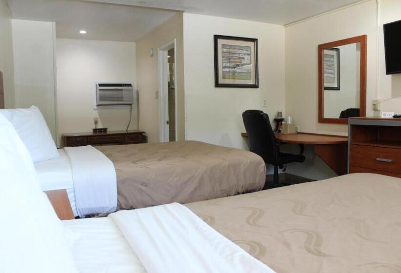 带2个双人床的标准工作室, Evergreen Inn And R.v