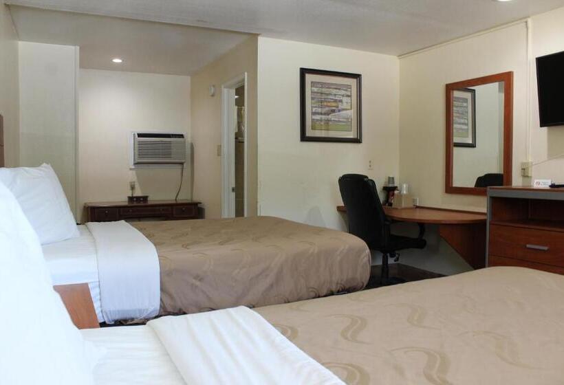 带2个双人床的标准工作室, Evergreen Inn And R.v