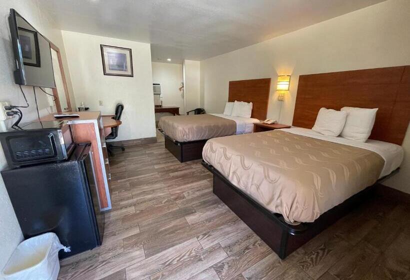 带2个双人床的标准工作室, Evergreen Inn And R.v