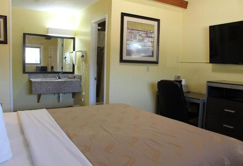 带大床的标准间, Evergreen Inn And R.v