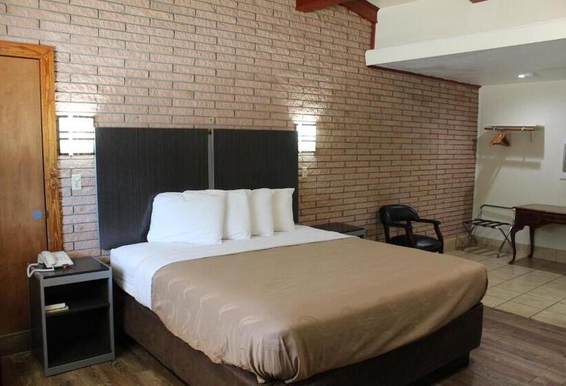 带大床的标准间, Evergreen Inn And R.v