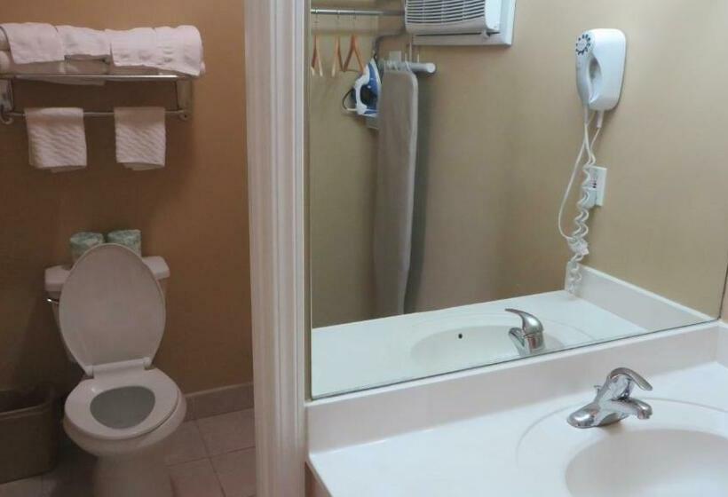 غرفة قياسية سرير كينج, Friendship Motor Inn