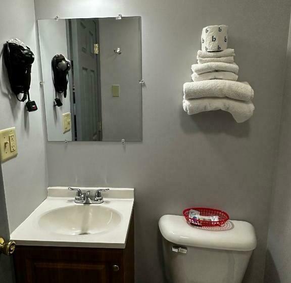 Номер Стандарт 2 Двуспальные Кровати, Relax Inn  Saginaw