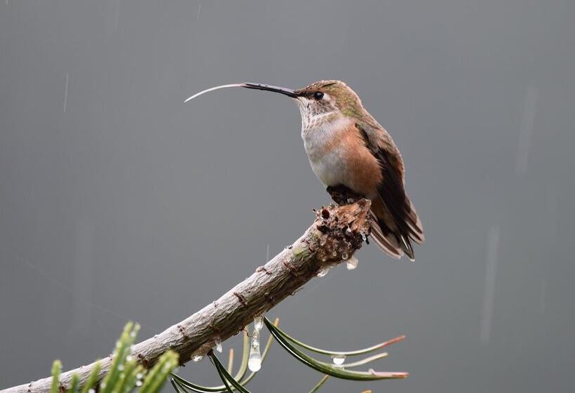 غرفة ديلوكس, Otter's Pond Bed And Breakfast