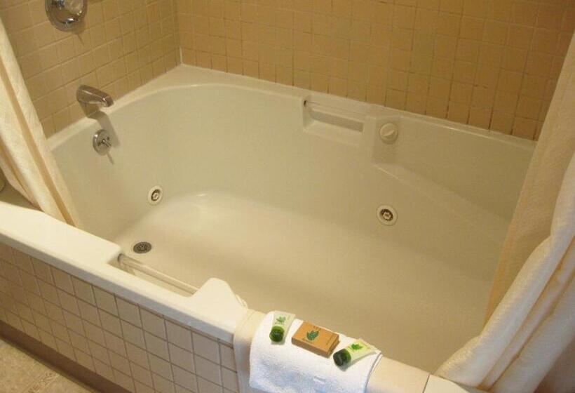 带大床的套房, Eagle Cap Chalets