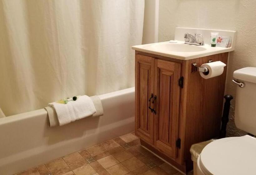 1间卧室的房子, Eagle Cap Chalets