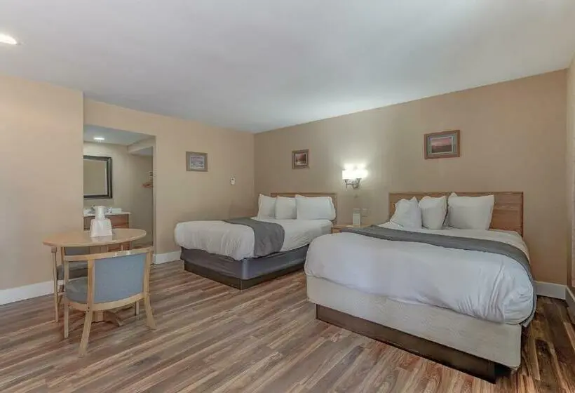 スタンダードルーム, Shasta Pines Motel & Suites
