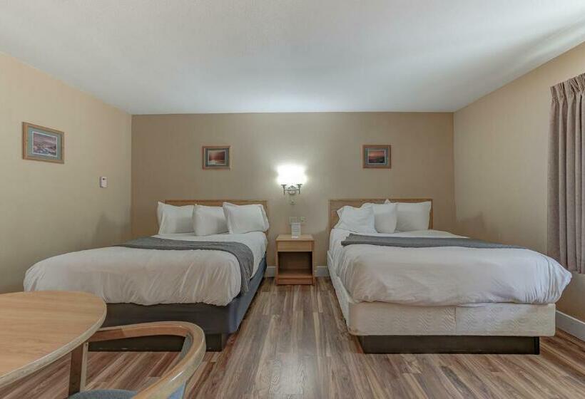 스탠다드 룸, Shasta Pines Motel & Suites