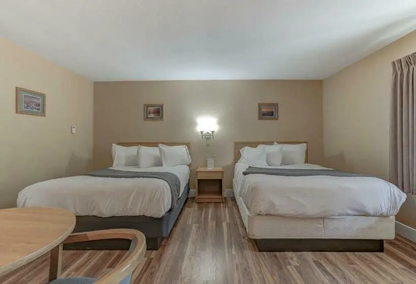スタンダードルーム, Shasta Pines Motel & Suites