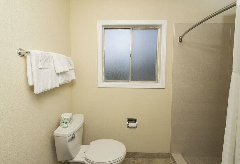 ２ダブルベッドのスタンダードルーム, Sky Riders Motel