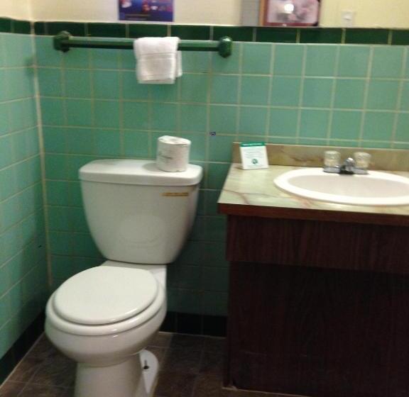 חדר סטנדרט עם מיטת קינג, Villa Rosa Motel