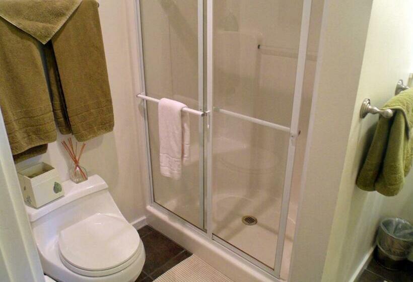 غرفة قياسية, Inn To The Woods