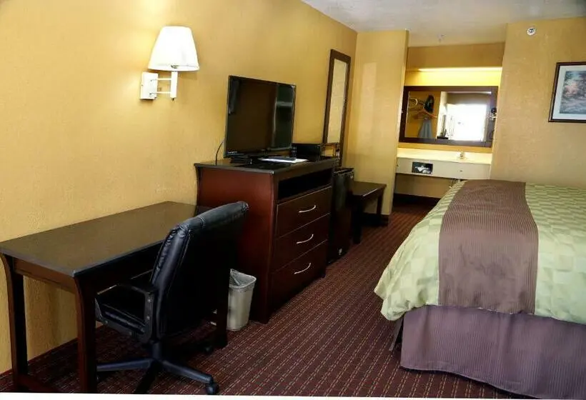 キングサイズベッドのスタンダードルーム, Executive Inn Opp