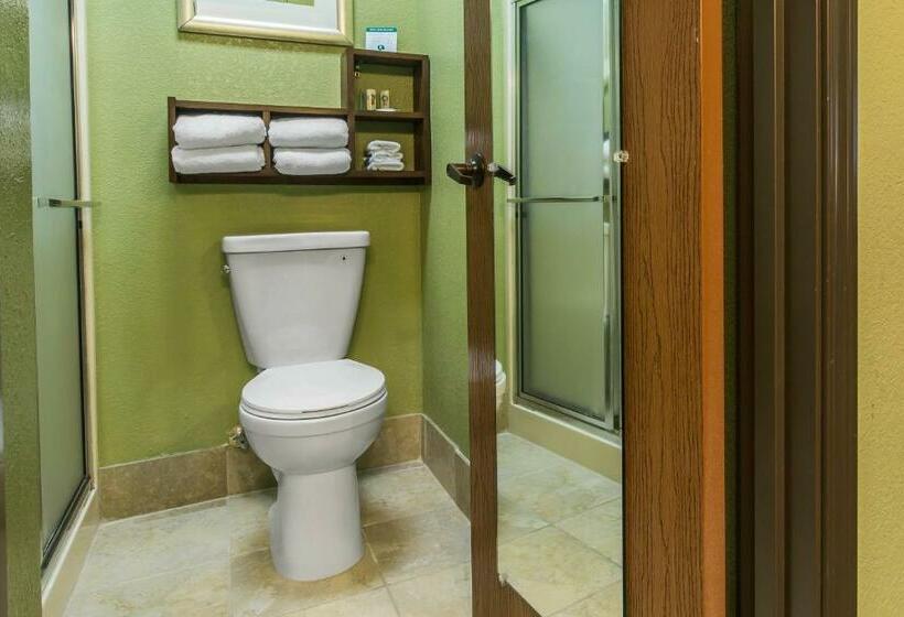 Номер Стандарт, Quality Inn Cedartown