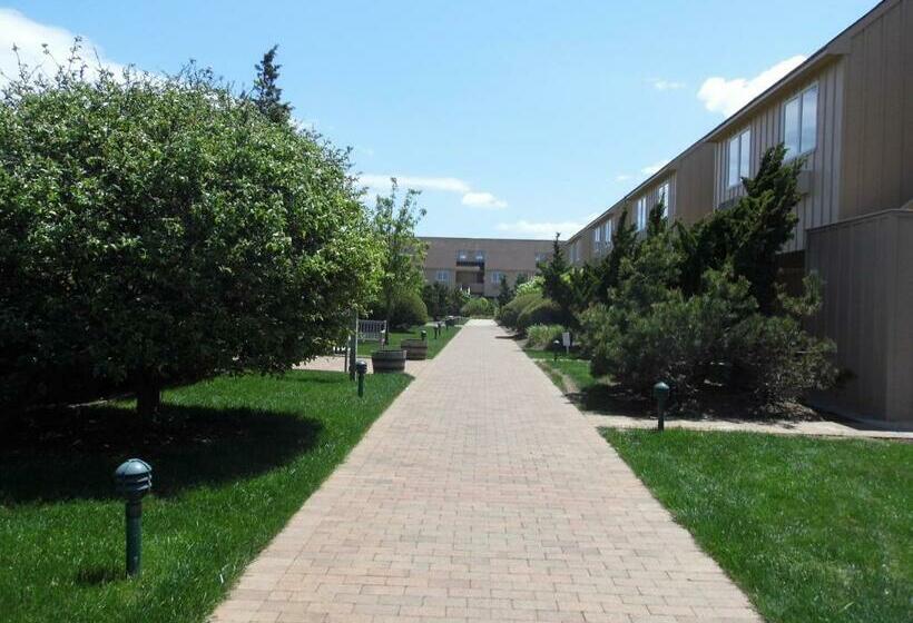 إستوديو قياسى, Windward Shores