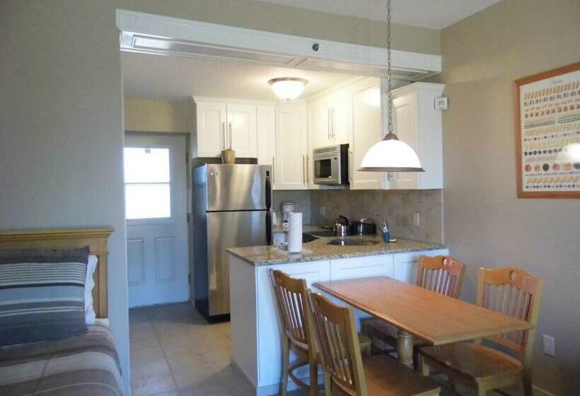 إستوديو قياسى, Windward Shores