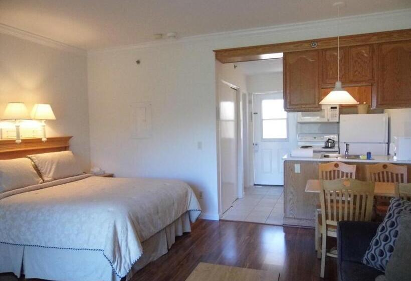 إستوديو قياسى, Windward Shores