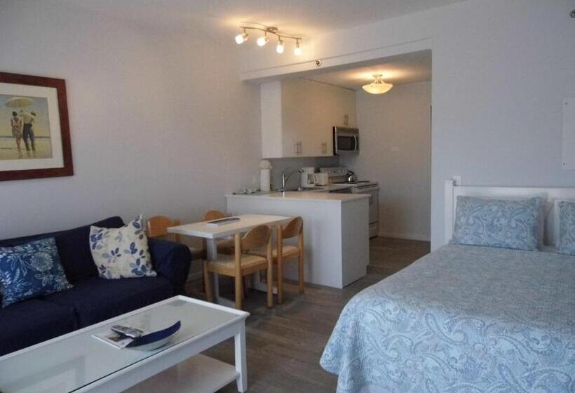 إستوديو ديلوكس, Windward Shores